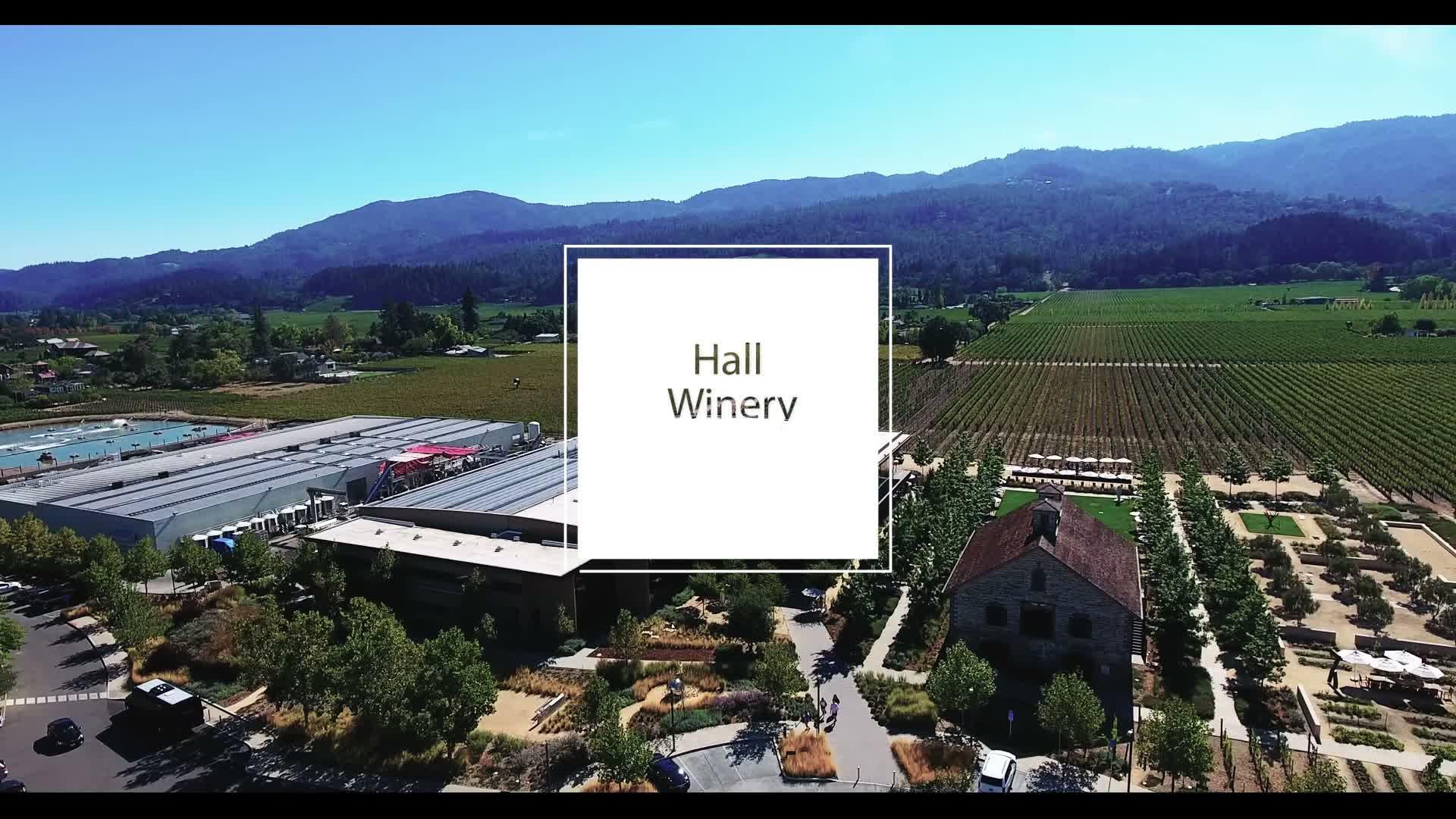 Hall Winery glass walls, a frame from USGA Inc.'s project video